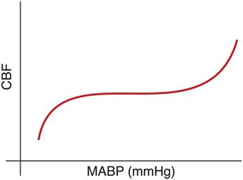 Cerebral Autoregulation, Brain Injury, and the Transitioning Premature Infant